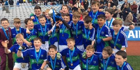 Sons of Nicky Byrne and former Dublin star put on a show for Malahide school in Croke Park
