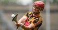 Heir to Shefflin throne cleared to play in Kilkenny final