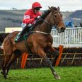 Willie Mullins plotting a run at the Champion Hurdle with ‘special’ mare Laurina