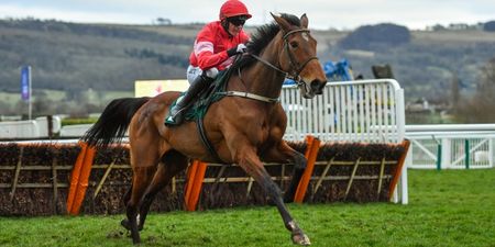 Willie Mullins plotting a run at the Champion Hurdle with ‘special’ mare Laurina