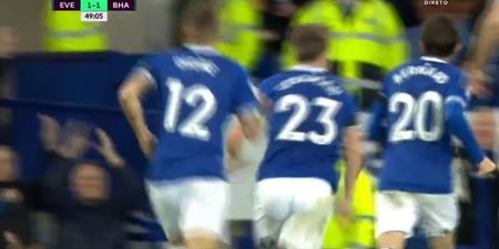 Seamus Coleman smashes Everton into the lead against Brighton
