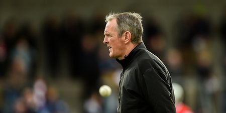 Dublin appoint new senior hurling manager