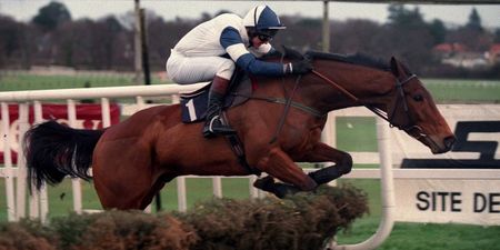 Ruby Walsh pays tribute to his first ever Grade 1 winner Alexander Banquet after horses death