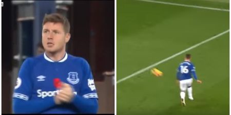 James McCarthy marks return to first team with nice assist for Everton