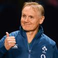 Joe Schmidt will leave Ireland role next year, will be replaced by Andy Farrell