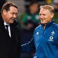 Steve Hansen comments are the last thing Irish fans want to hear today