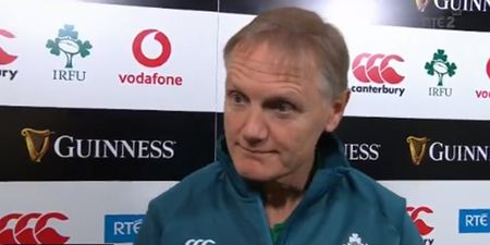 RTE panel think Joe Schmidt is leaving after post-match interview