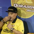 Diego Maradona ‘aims punch at journalists’ after final defeat
