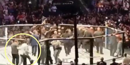 UFC bans Conor McGregor fan who ran into Octagon at UFC 229