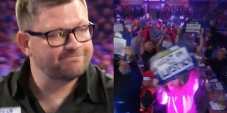 James Wade gets the reaction he probably expected on return to Ally Pally