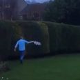 Leeds’ late comeback sends fan into lap of his garden