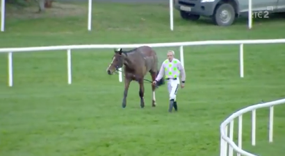 Ruby Walsh and Faugheen get back to their feet after horrific fall