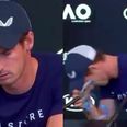 Sight of Andy Murray reduced to tears over thought of retirement is genuinely hard to watch
