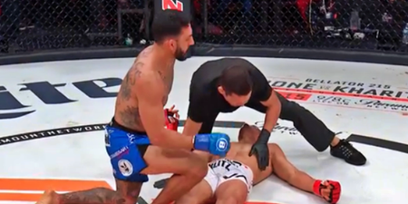 One of MMA’s hottest prospects brutally knocked out at Bellator 214