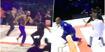 All hell breaks loose at Jiu-Jitsu event after injured fighter attacks opponent’s team