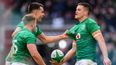 CJ Stander and James Ryan immense as Ireland keep title fight alive