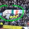 Steward removes tri-colour flag during Celtic’s win over Dundee