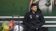 Shane Long pulls out of Ireland squad with injury ahead of opening Euro 2020 qualifiers