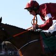 Tiger Roll makes punters’ day with back-to-back Grand National victories