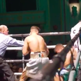 Lee Reeves justifies Tyson Fury praise with brutal TKO victory in first pro headline spot