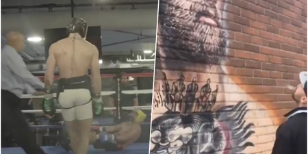 Paulie Malignaggi criticised for spitting on Conor McGregor mural