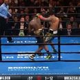 Wilder targeting Joshua after devastating Breazeale knockout