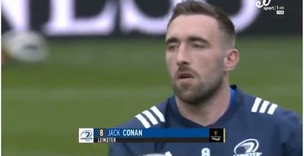 Fitzgerald and Stringer back Conan to challenge Stander for number eight