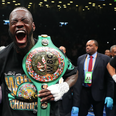 Deontay Wilder lays into Anthony Joshua after his defeat to Andy Ruiz Jr