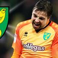 Norwich City fans living it up with cheaper tickets on the way