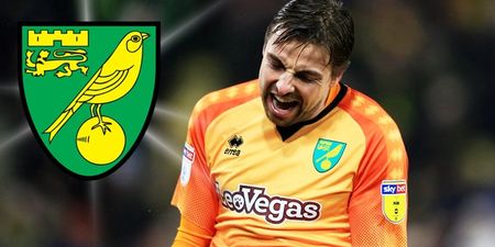 Norwich City fans living it up with cheaper tickets on the way