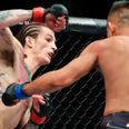 Sean O’Malley protests innocence after he is pulled from UFC 239 fight card