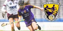 “I tend not to spend a lot of time looking backwards” – Wexford camogs turning new page