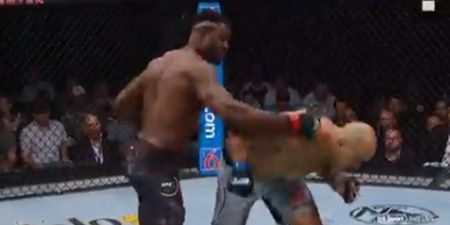 Francis Ngannou stops Junior dos Santos with ruthless finish