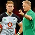 Joe Schmidt on his three ‘incredibly tough’ World Cup squad decisions