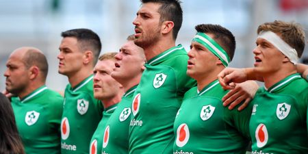 Full player ratings as Ireland dominate Wales to top world rankings