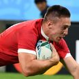 Liam Williams inspires Welsh past Georgian side who never threw in the towel