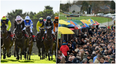Sport, friendship and even love: The magic of the races