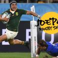 Cheslin Kolbe – Dynamite comes in small packages