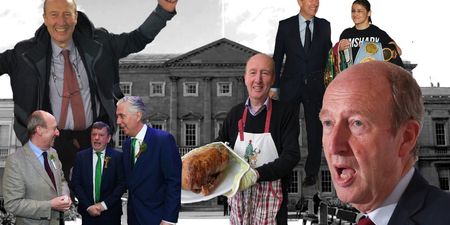 Inside Shane Ross’ diary: the wrong man in the wrong job