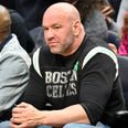 Dana White livid with late stoppage on UFC 246 undercard