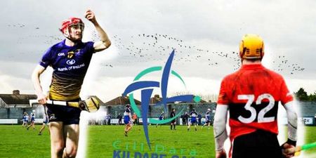 The three Kildare men putting their county on hurling map on Fitzgibbon weekend