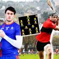 Dream team and fact file of the final four in Fitzgibbon Cup