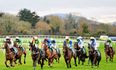 Fines and suspensions in Tipperary after stewards enquiry