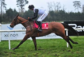 10 horses to follow for the 2020/21 national hunt season