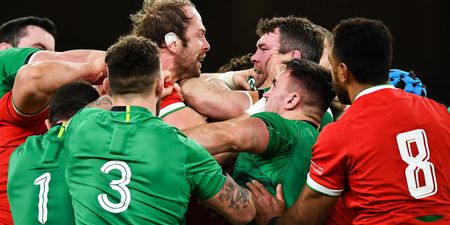 One Ireland star tops our player ratings after Wales put to bed early