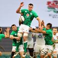 Only one fresh face as Ireland make squad announcement