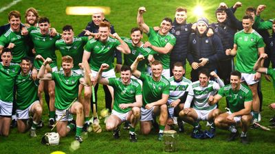 Limerick dominate All Star nominations with fair Hurler of the Year spread