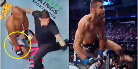 ‘Stop, stop, STOP!’ – Texas crowd left stunned as UFC legend has arm snapped
