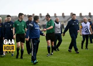 “His reputation is following him around now” – Davey Fitzgerald gets landed with hefty ban for sideline altercation
