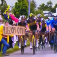 The woman who caused Tour de France crash will be sued once caught